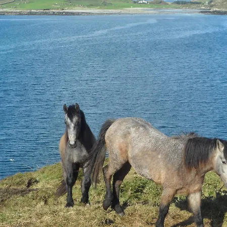 Rockmount House كليفدين