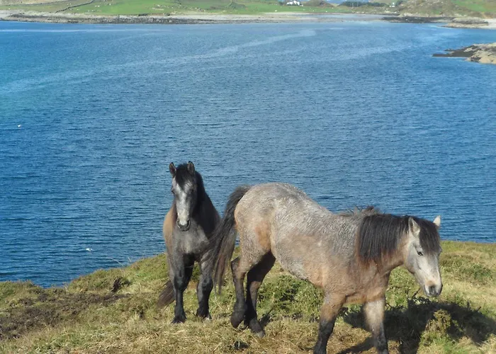 Rockmount House Clifden